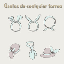 Cargar imagen en el visor de la galería, VALERINA FLEXIBLE MASCOTIN (12 PZ)
